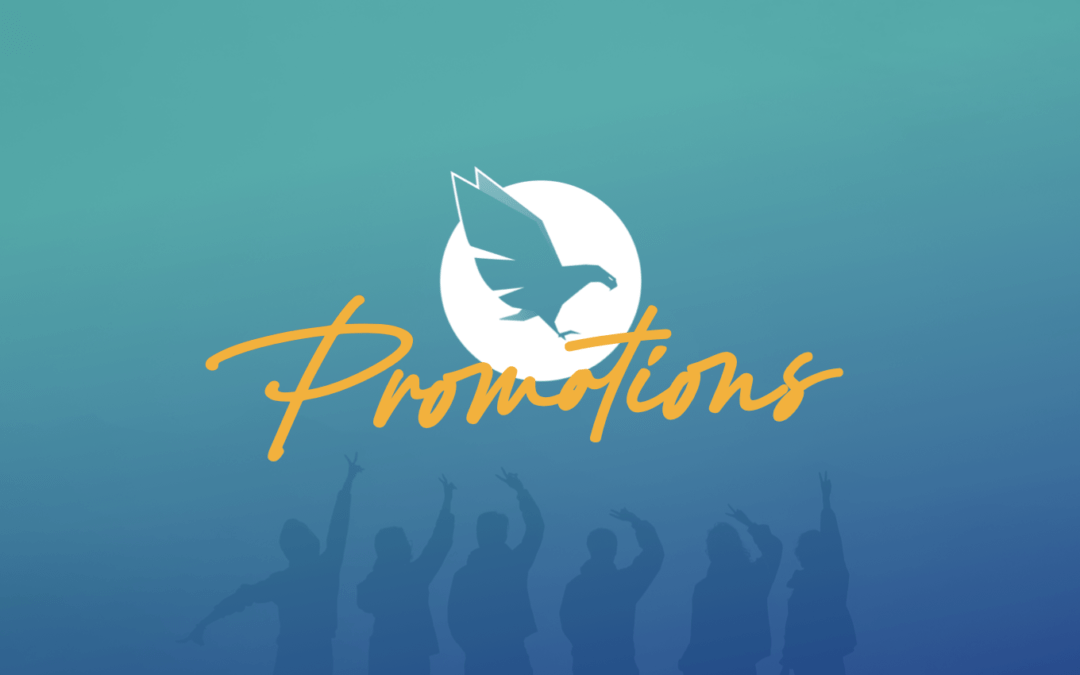 Senior promotions at Hawk Platform as DSP doubles in size